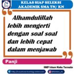 Slide4 (4)